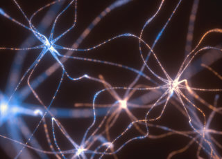 Более трети опрошенных используют нейросети в своей работе